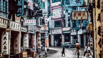 1960s Hair Pick Lift in Hong Kong History