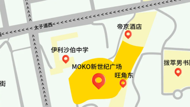 Hong Kong Tokyo: Culinary Fusion Guide