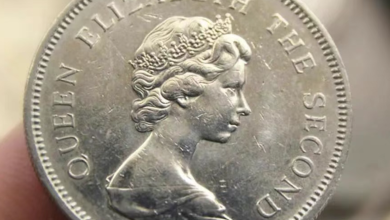 1960 Hong Kong One Dollar Coin Value